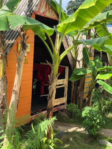 Beach Shack Chalet - Garden View Aframe Big Unit Kampong Juara Luaran gambar